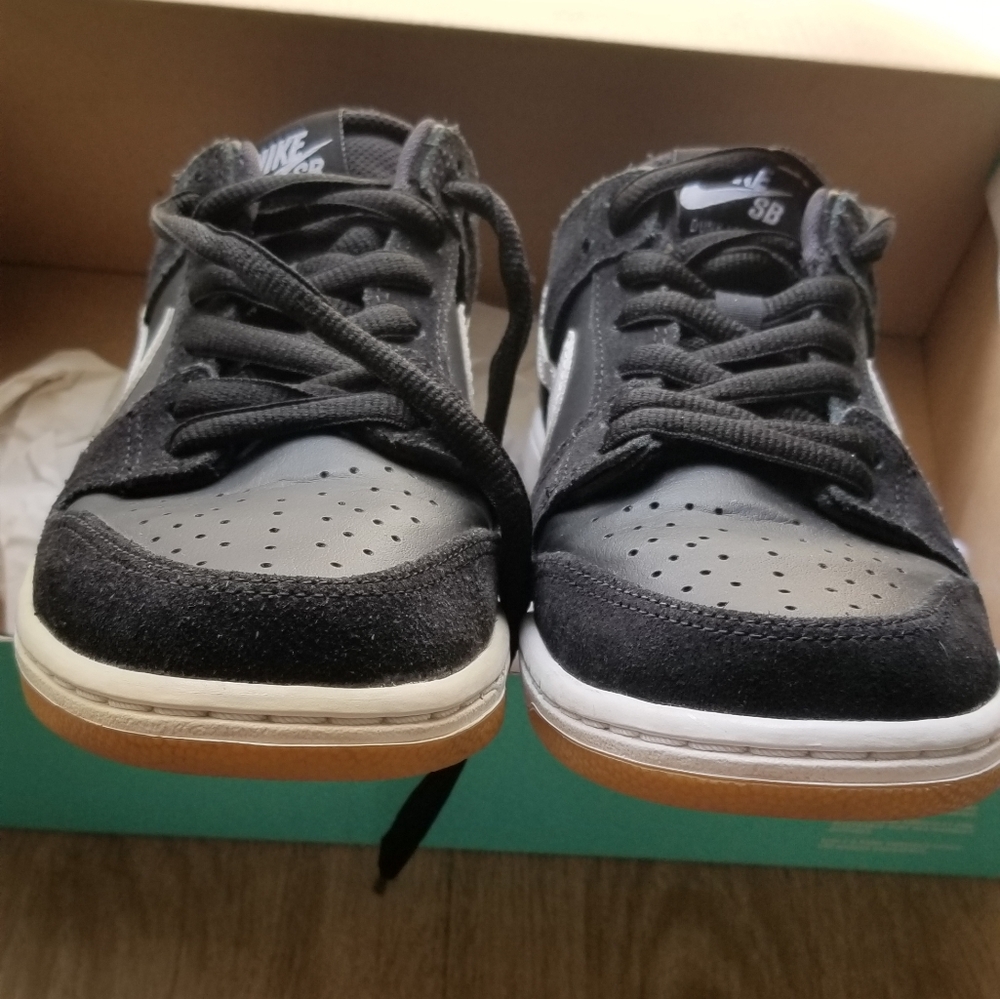 Nike SB Zoom Dunk Low Pro